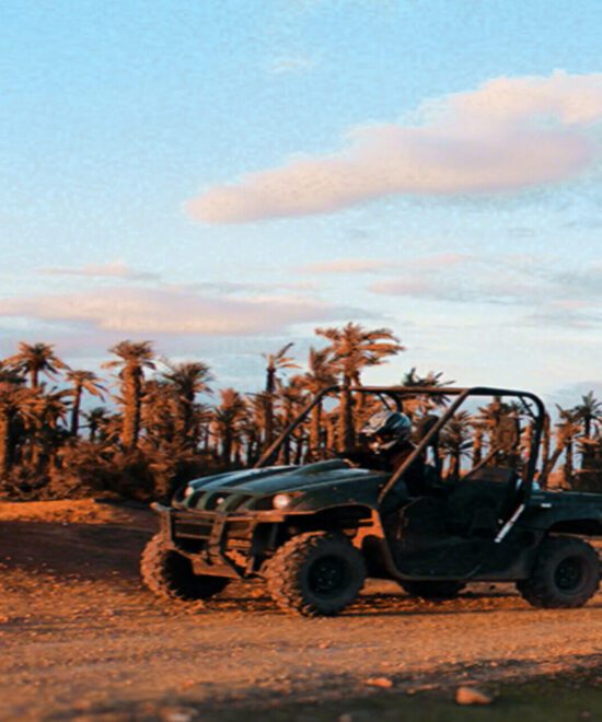 Buggy Drive in the Palm Groves